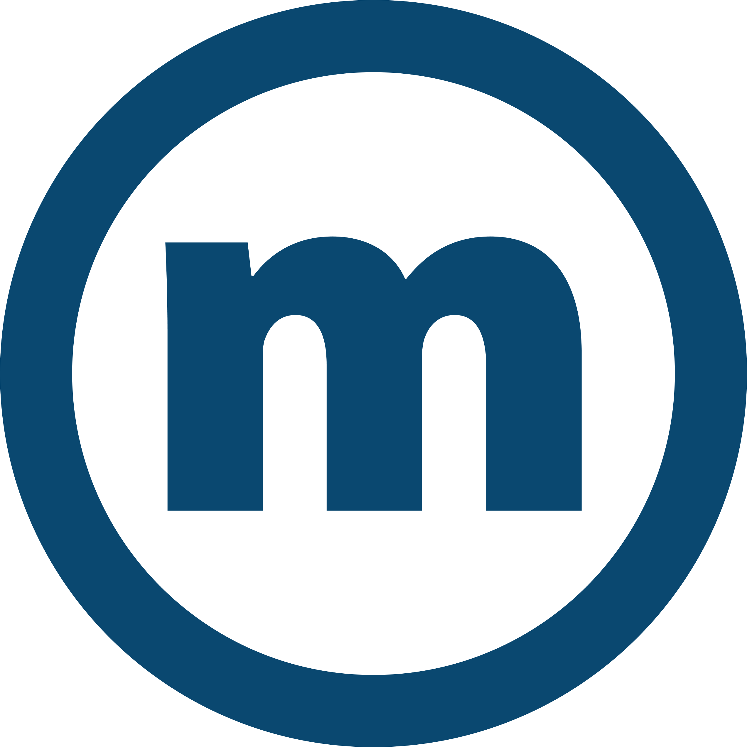 mS logo